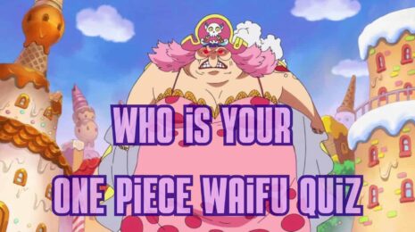 Who is Your One Piece Girlfriend?