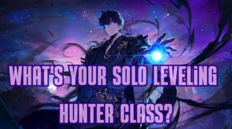 What's Your Solo Leveling Hunter Class
